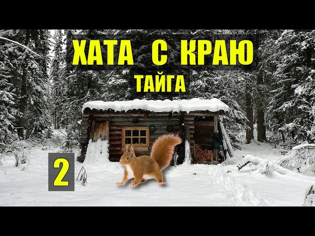Дом 2 ночной эфир 29.12 2025. Дом 2 ночной эфир 29.12 2025