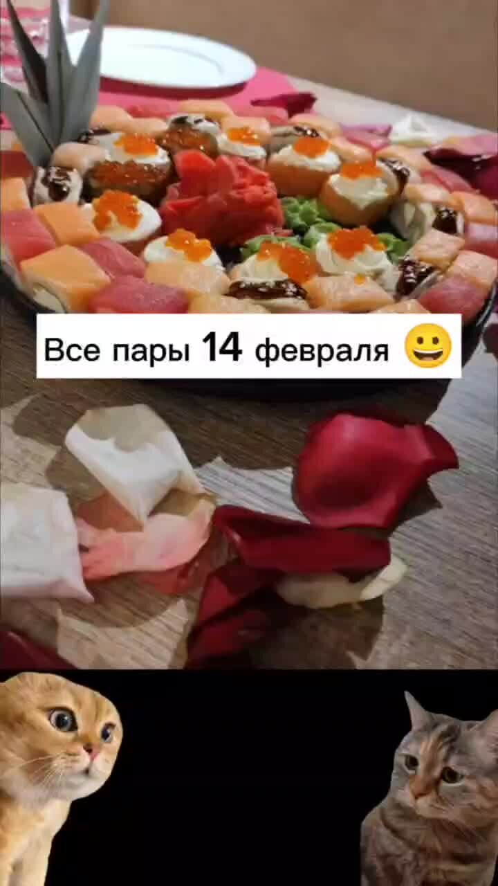 смешные песенки про котов. кот за роялем. самые милые котята. коты музыканты. смешные музыканты.