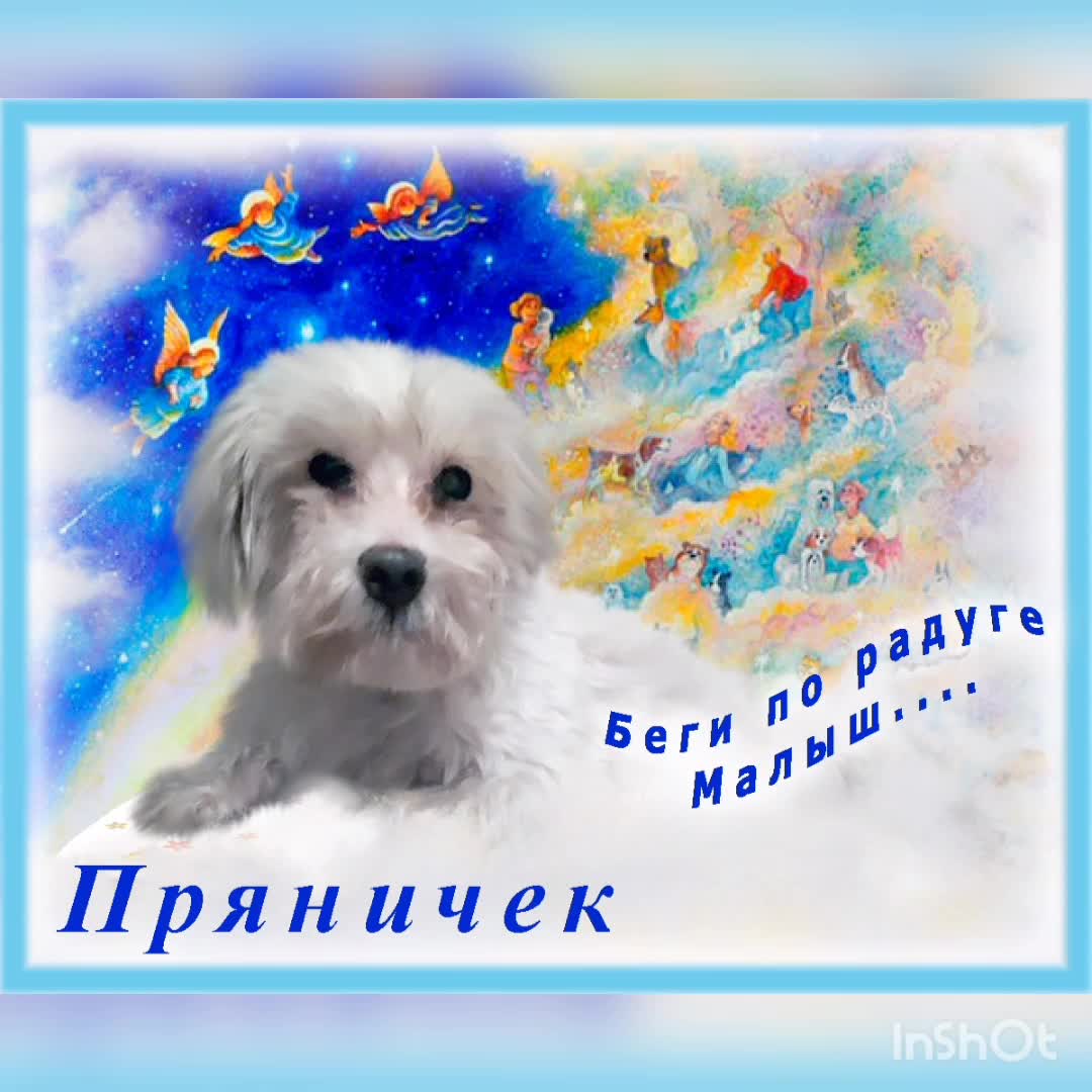 Сильный дождь. Если вам стало плохо на улице вспомните. Девушка в платье под дождем. Девушка в платье на улице. Если тебе очень плохо.