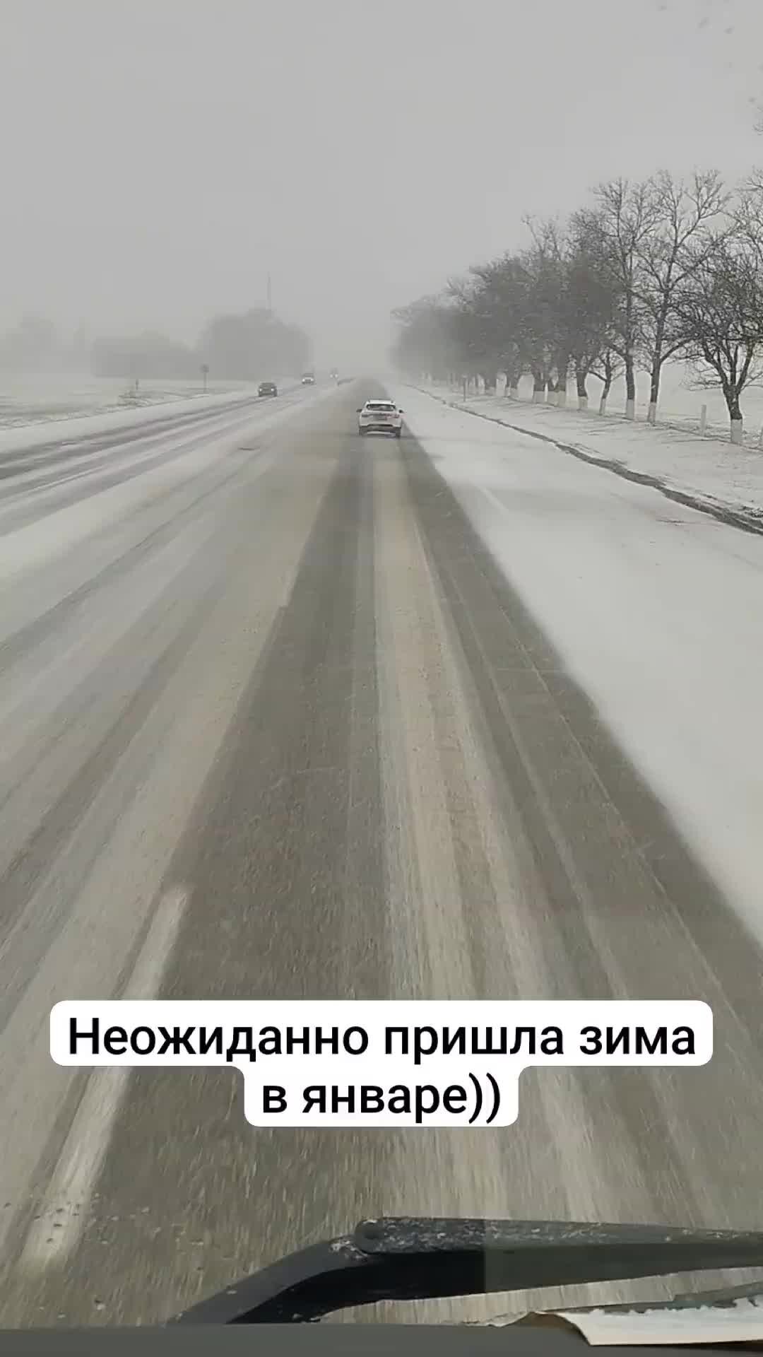 теплицкий 58 гусь тур. гуси в природе. шутки про гуся. погода гусь. гусь мем.