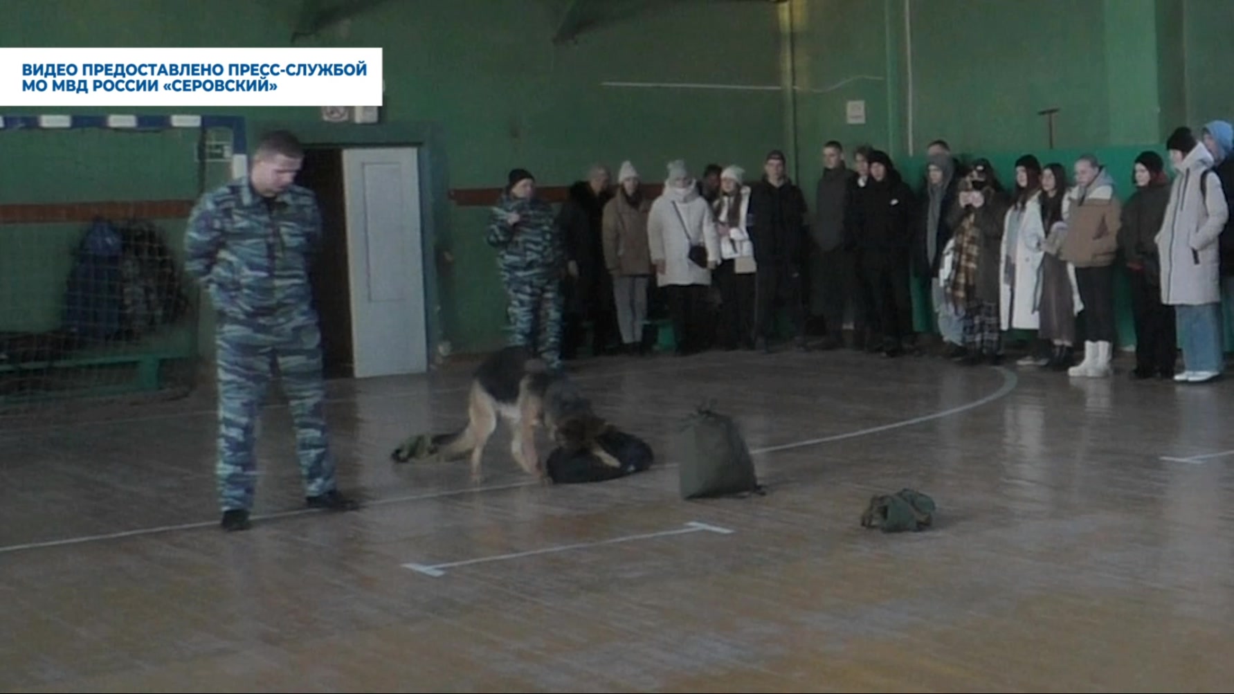 Взвод вдв. Программа десант. Краснодарский аэропорт энем. Спецназ вдв десантирование. Военные профессии для детей дошкольного возраста.