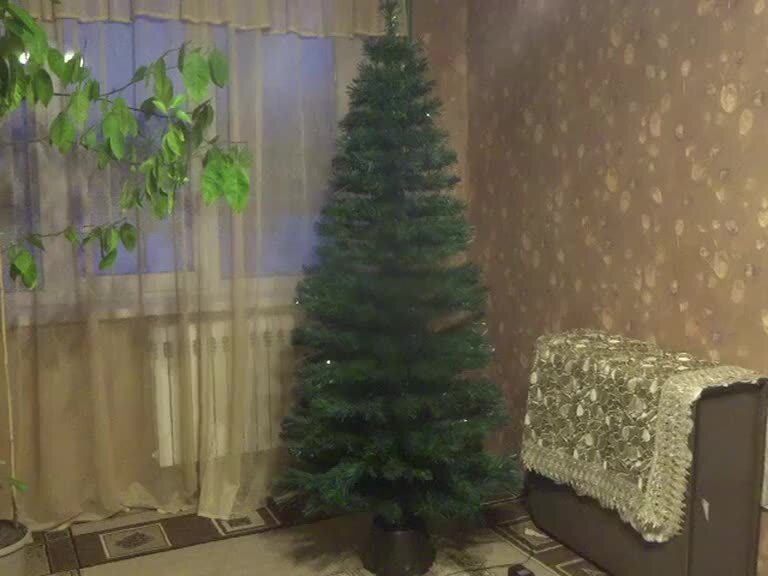 выбор новогодней елки. живая или искусственная елка на новый год. живая елка на новый год. живая или искусственная елка на новый год. живая и искусственная ель.