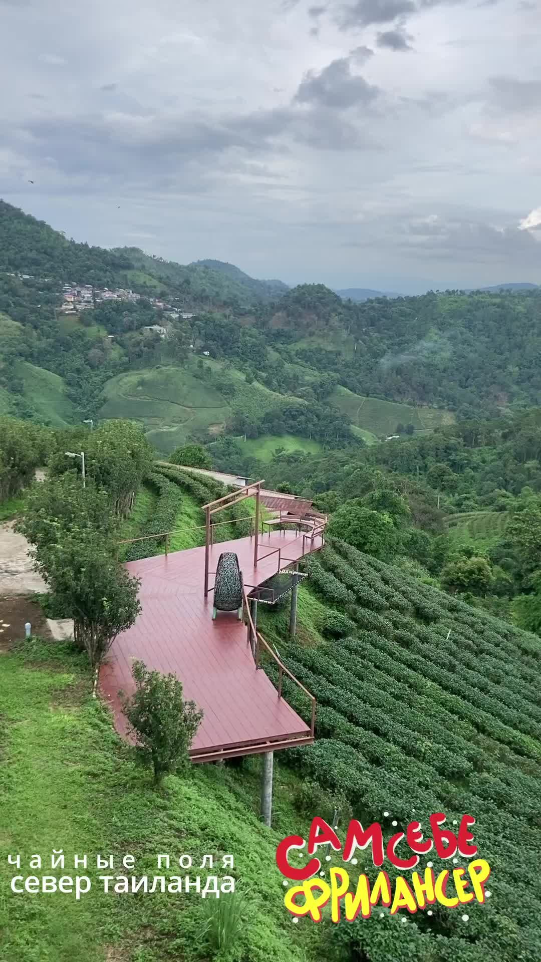 Сам себе фрилансер | Чайные поля на севере Таиланда | Дзен