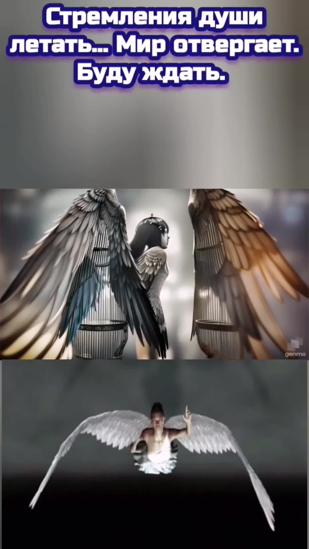 песня полетела душа через край напролет. дмитрий колдун ты улетишь. песня полетела душа через край напролет. параллельные миры. я жду тебя.