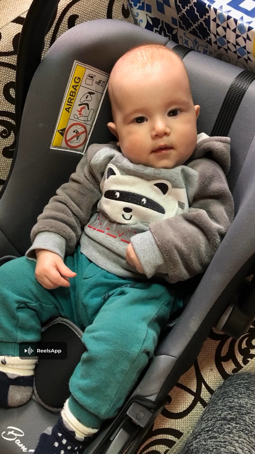 спят ли эмбрионы