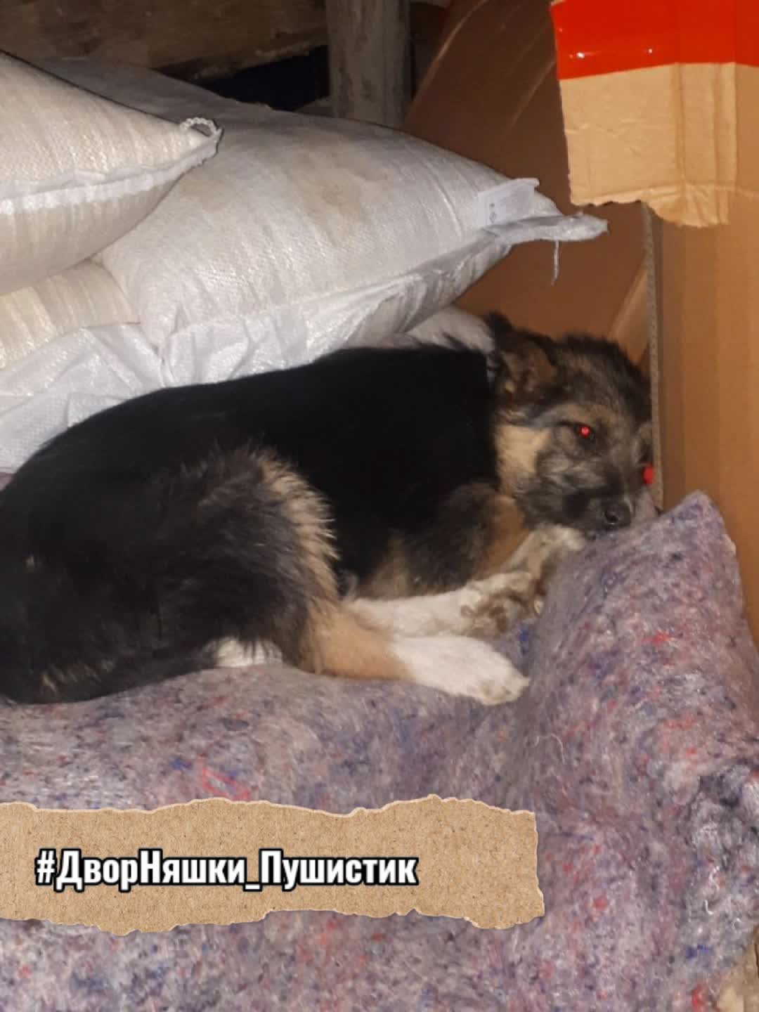 Экспедиция проходила успешно пока