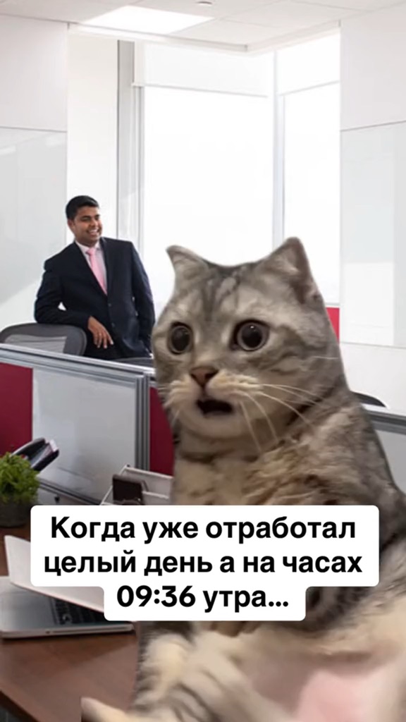Работодатель. Вопросы на собеседовании. Регламент проведения собеседования при приеме на работу. Собеседование учителя. Собеседование на работу учителя.