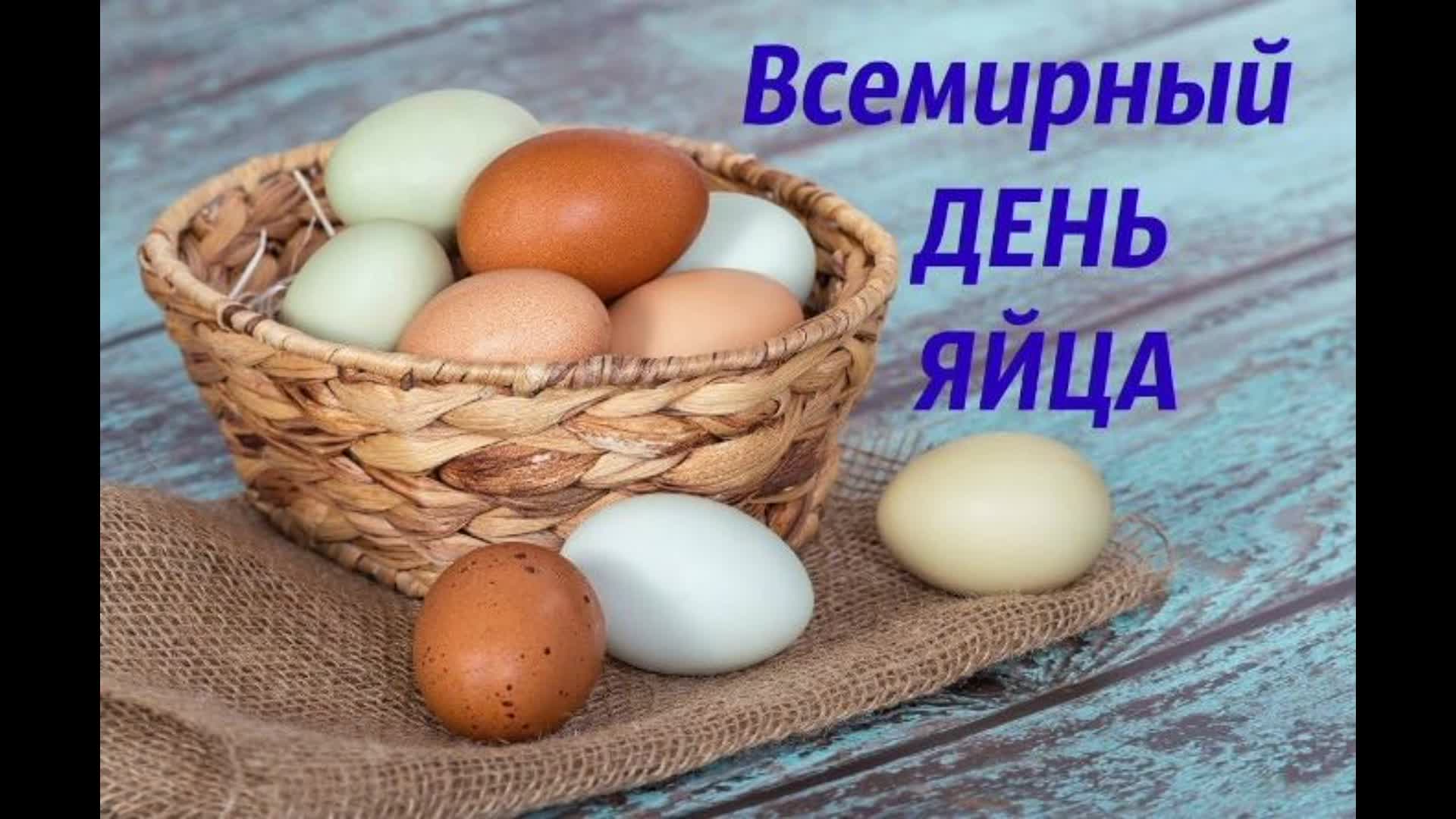 Видео про яйца. Яйца и яйцепродукты. Инкубационное яйцо в лукошке. Элитные куриные яйца. Яйцо (пищевой продукт).