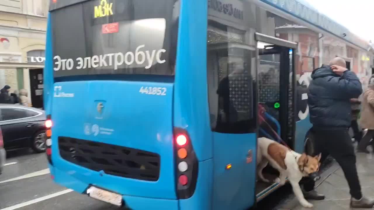 Ехать автобусом москва