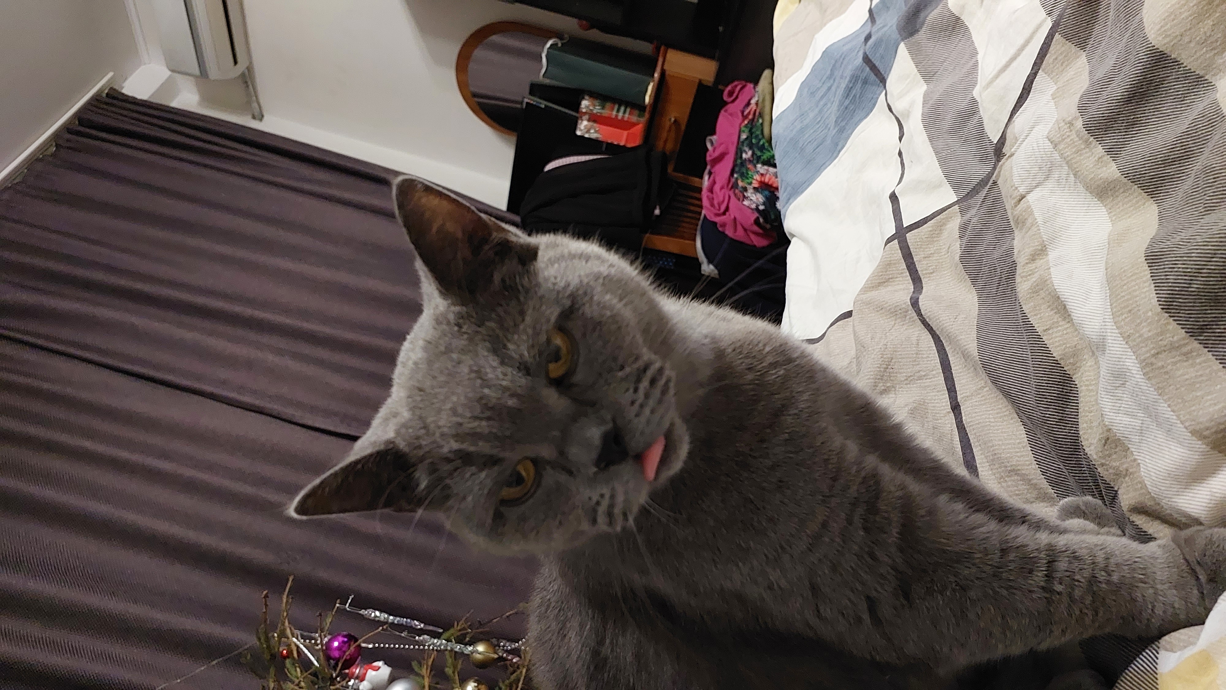 Очень взрослые видимо. Очень взрослые видимо. Занимаются любовью на кухне. Очень взрослые видимо. Марго робби волк с уолл-стрит.