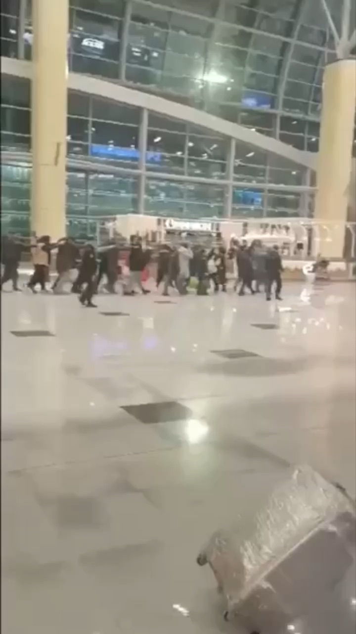 Аэропорт домодедово депортация мигрантов