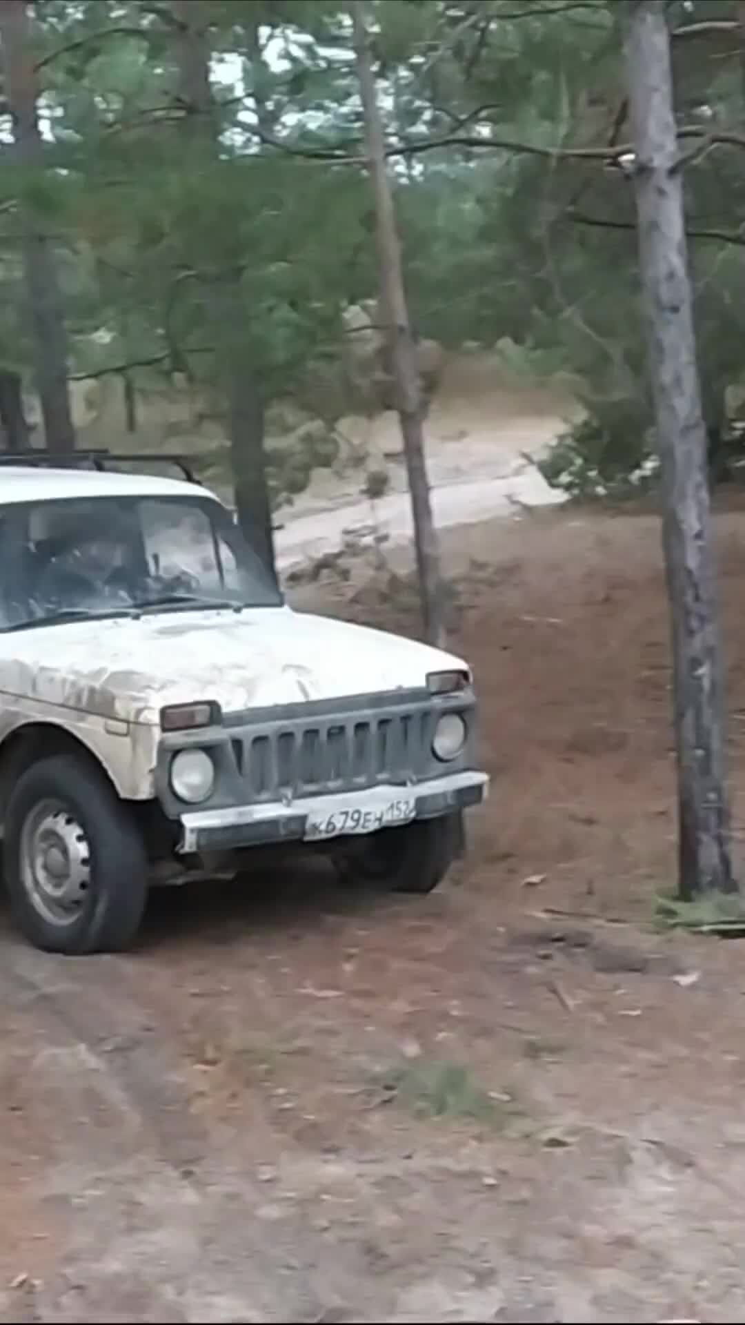 Дорога домой | Что лучше Нива или ШНива | Дзен