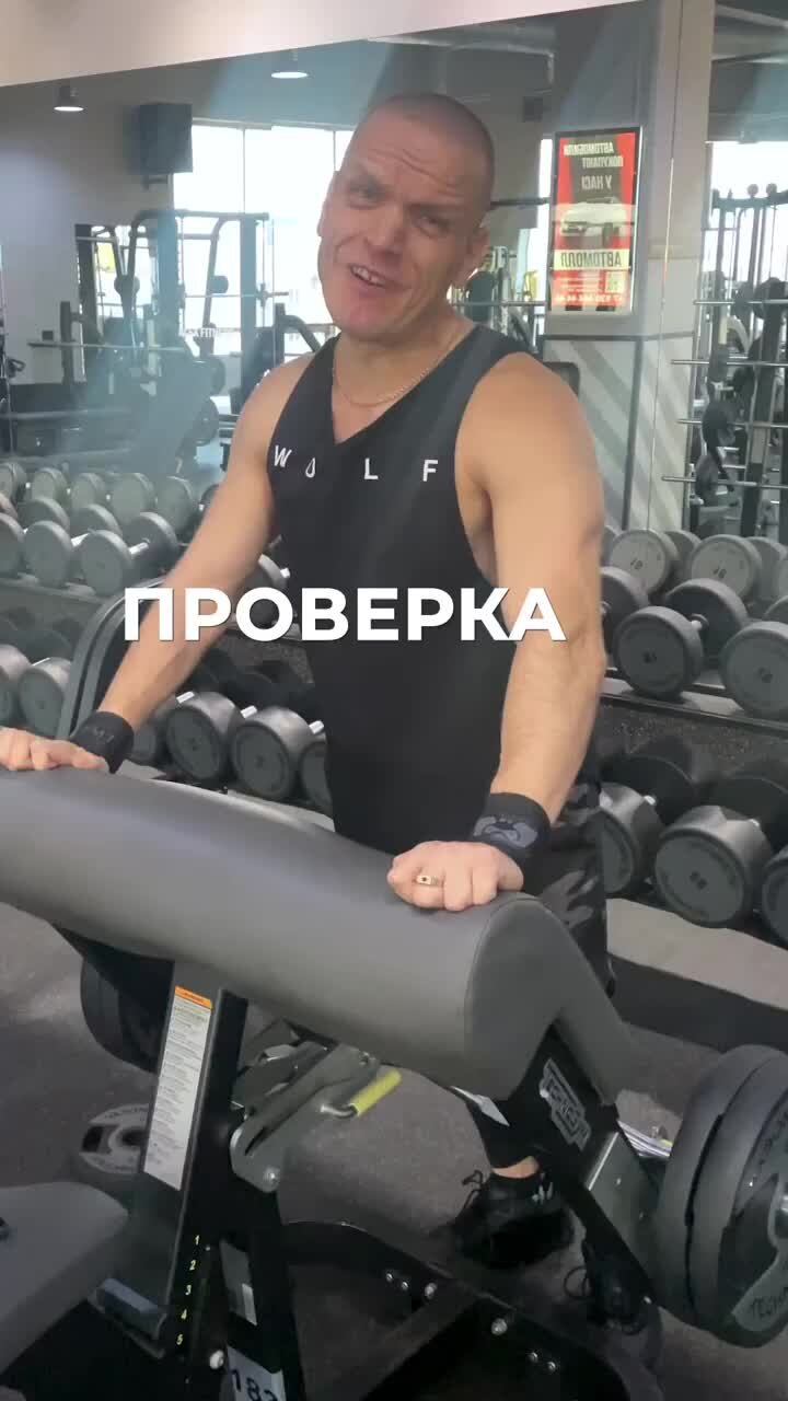 Жим штанги лежа нормативы женщины. Подъем штанги на бицепс обратным хватом. Поднятие веса на бицепс. Жим штанги стоя нормативы. Подъем гантелей на бицепс.