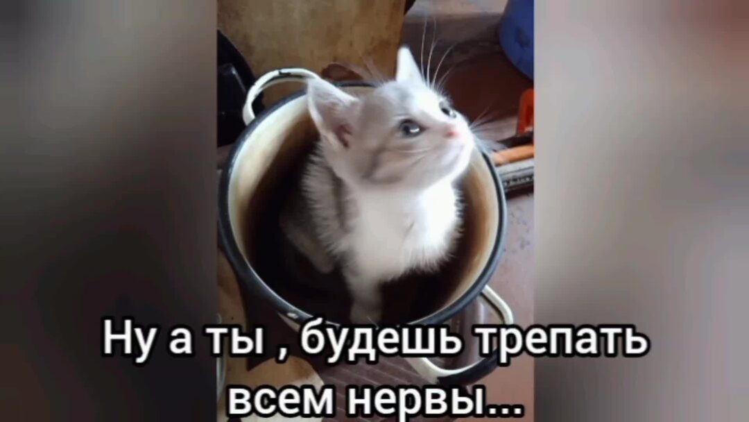 Ну а ты настоящая