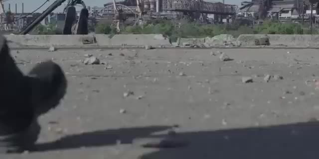Пливо каче