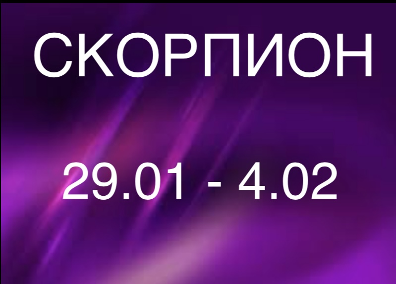 Скорпион характеристика знака. Скорпион зодиак. Животное скорпиона по гороскопу. Гороскоп скорпион декабрь 2024. Скорпион вид спереди.