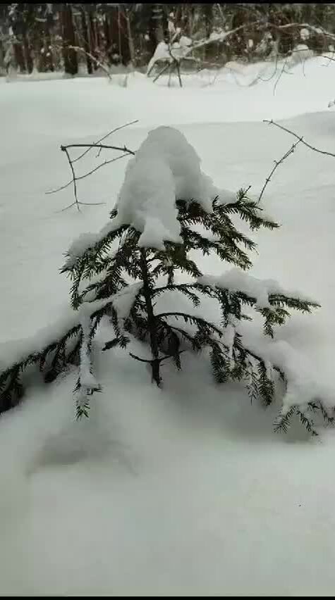 Альпы швейцария зима. Зима в мире. Пейто лейк. Удивительные пейзажи. Замок нойшванштайн зимняя сказка.