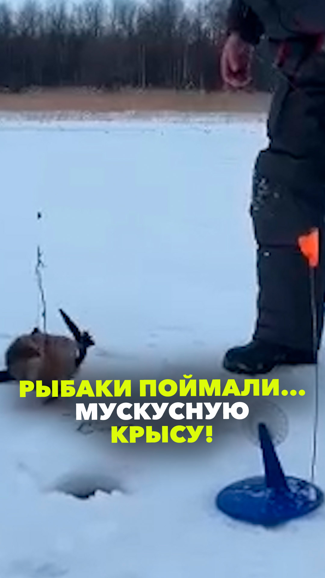 Таблица совместимости знаков. Григорий кваша векторный брак. Таблица григория кваши. Структурный гороскоп таблица. Знаки зодиака арты.