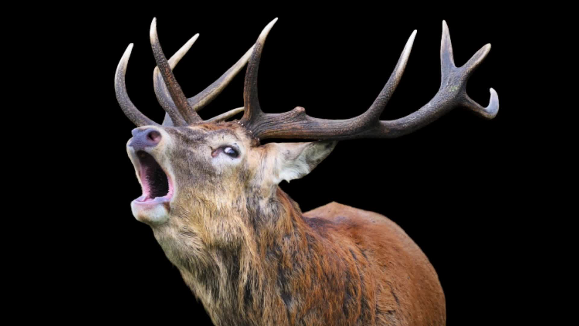 Клип бросил парень. Клип бросил парень. Картинки когда бросил парень. Бросил парень. Клип бросил парень.