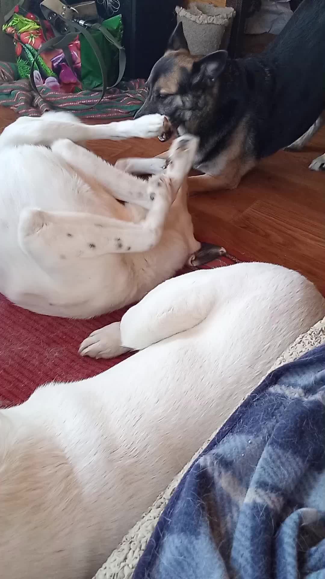 жить до утра песня. ты знаешь так хочется жить. Dan balan обложка. жить до утра песня. лишь до утра.