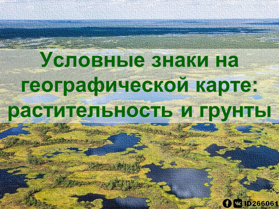 3 растительный покров. типы растительного покрова. 3 растительный покров. 3 растительный покров. растительный покров земли.