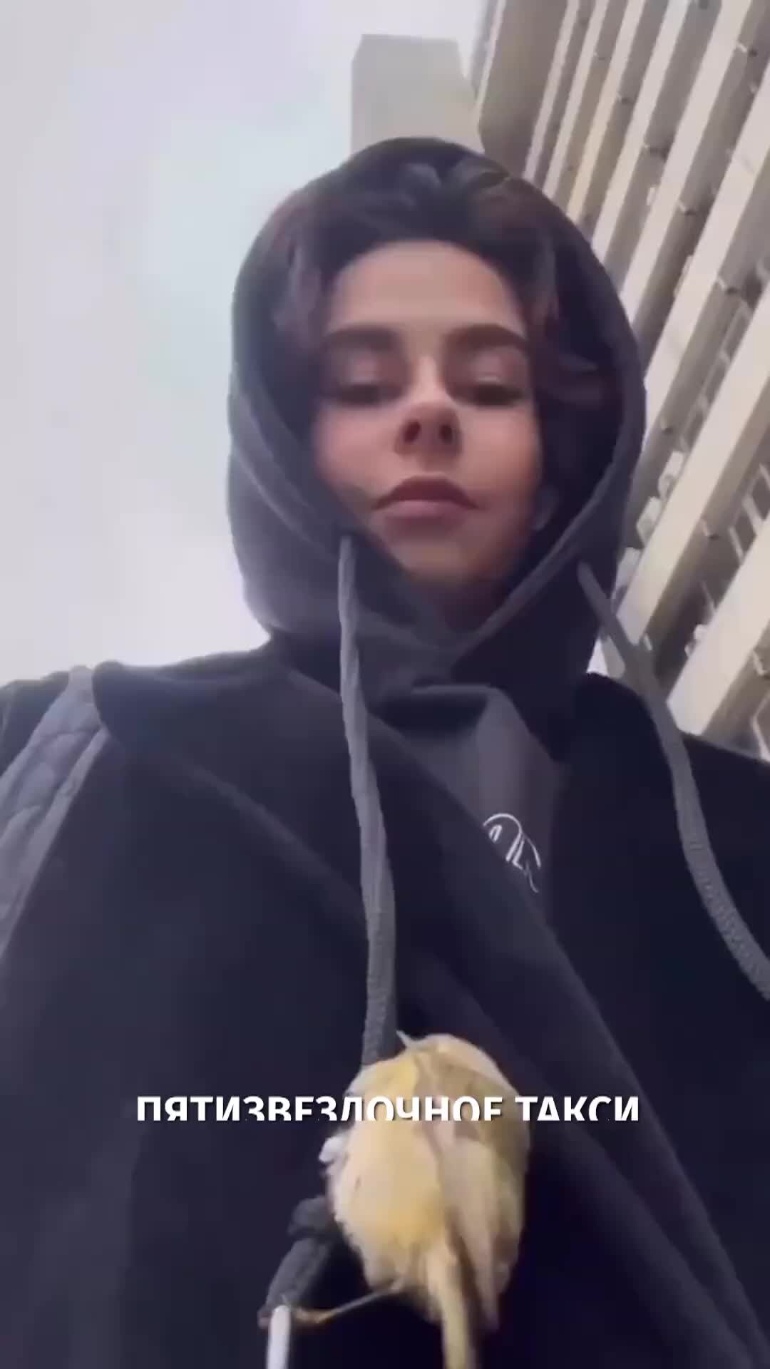 РЕН ТВ | Пьяная птица зацепилась за девушку | Дзен