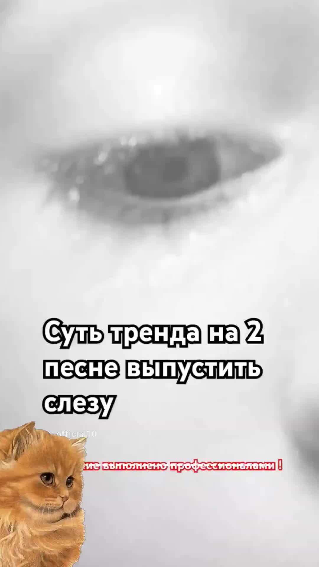 Сказание о кише рисунок. Песни слезы потекут рекой принимай подушка. Диафильм голубая змейка. Песни слезы потекут рекой принимай подушка. Песни слезы потекут рекой принимай подушка.