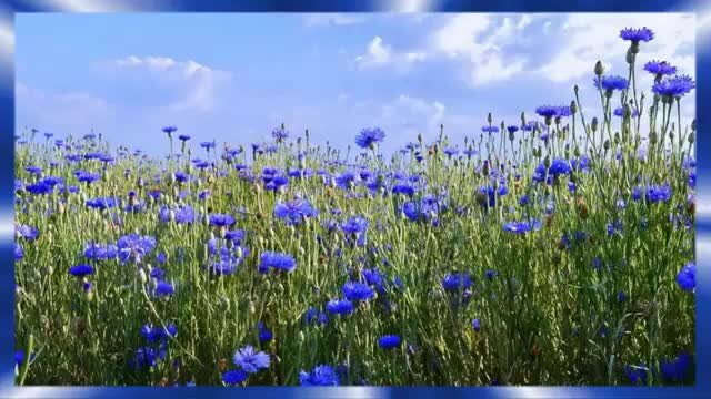 солнышко с радугой рисунок. солнышко из за серых туч. весёлая песня текст.