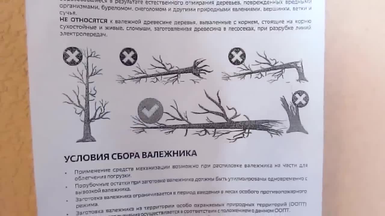 Уборка валежника в лесу. Заготовка валежника для собственных нужд. Соберу валежник отнесу домой. Памятка по сбору валежника. Приспособление для сбора валежника.