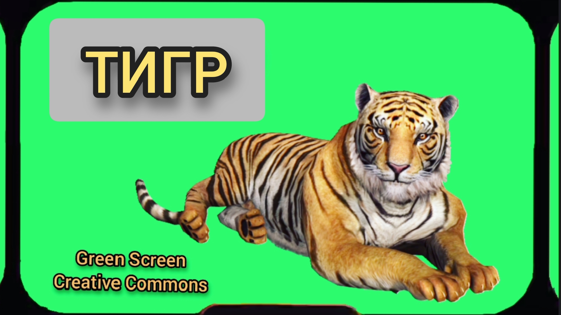 футаж текста на зеленом фоне