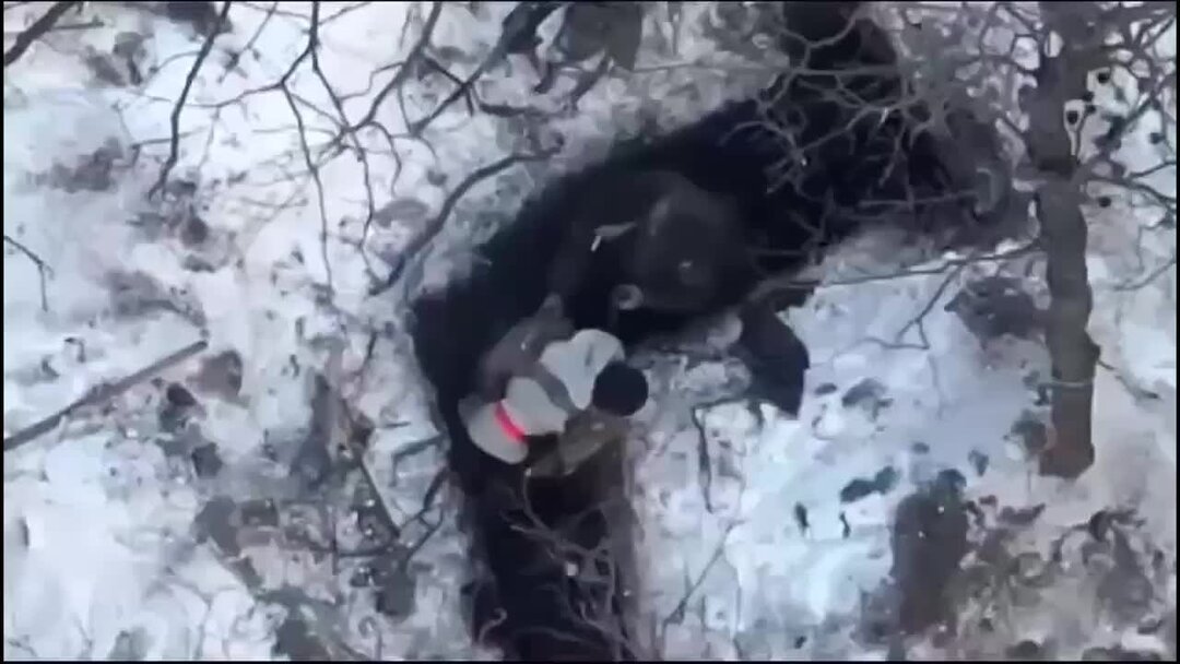 ни одна звезда не озаряла трудный путь. где долго была. челентано и мути мемы. где долго была. сяб.