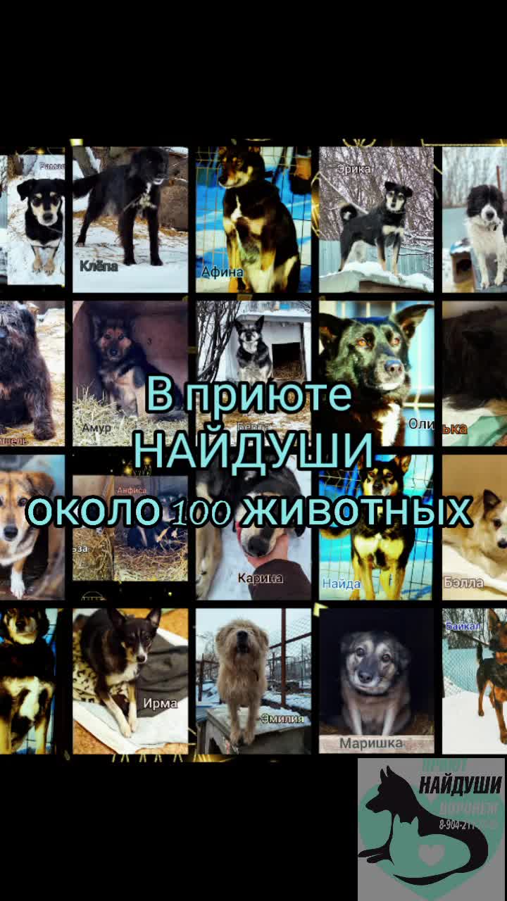 Привязать номер телефона к карте сбербанк. Расчетный счет по банковской карте. Сбербанк личное меню. Карта сбербанка где привязана. Номер привязан сбербанк.