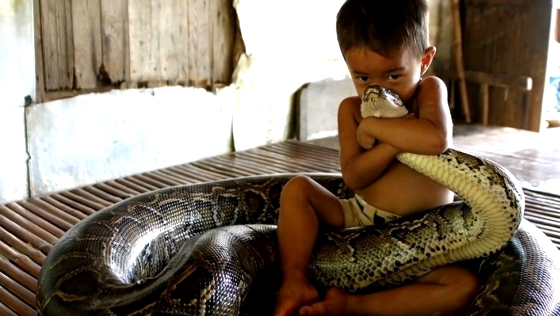 Как стать змеей. Питон и мальчик Камбоджа. Змея для детей. Дети со змеями.