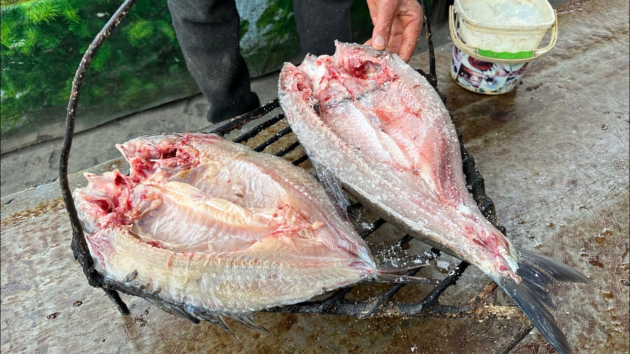 Маньхуа 3000 лет практики ци. 3000 ци. Бай ци аниме. Хуа чен и се лянь аниме. 3000 ци.