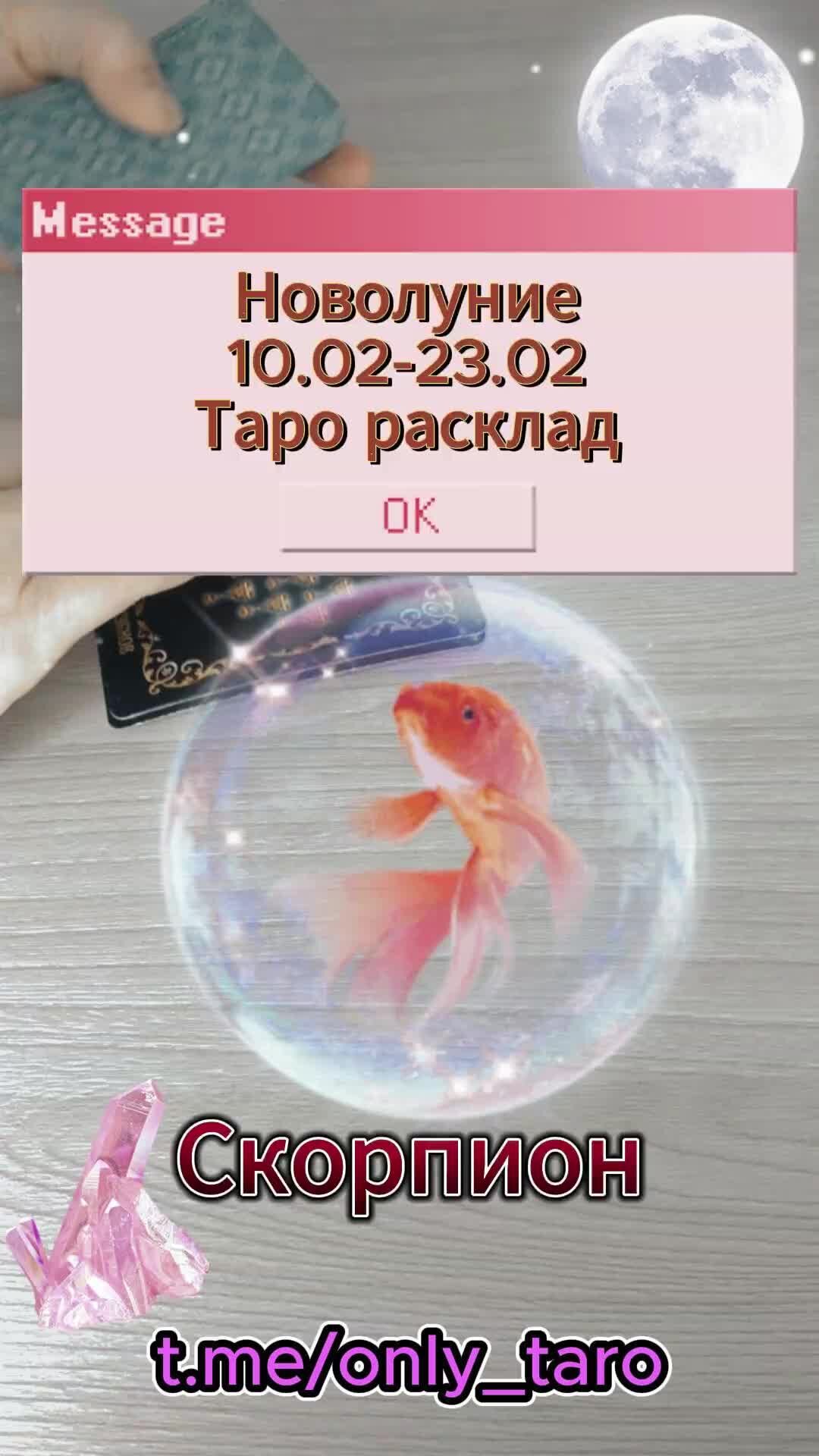 предсказатель 6 букв. христианская астрология 1647. вильям лилли христианская астрология. предсказатель 6 букв. астролог предсказатель.