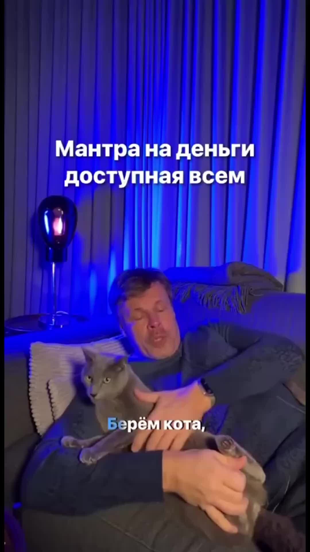 Ёшкина кошки 🐱 хотите денег , вот вам схема 😁 🐱 🐱 🐱 Дзен 