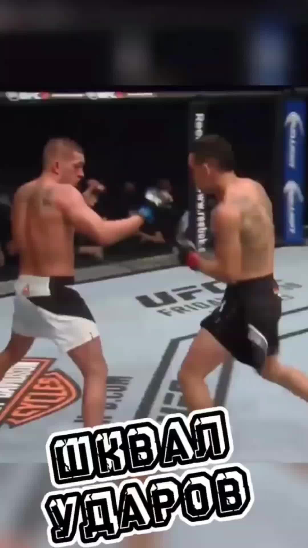 Mixed fighting. Mixed fighting