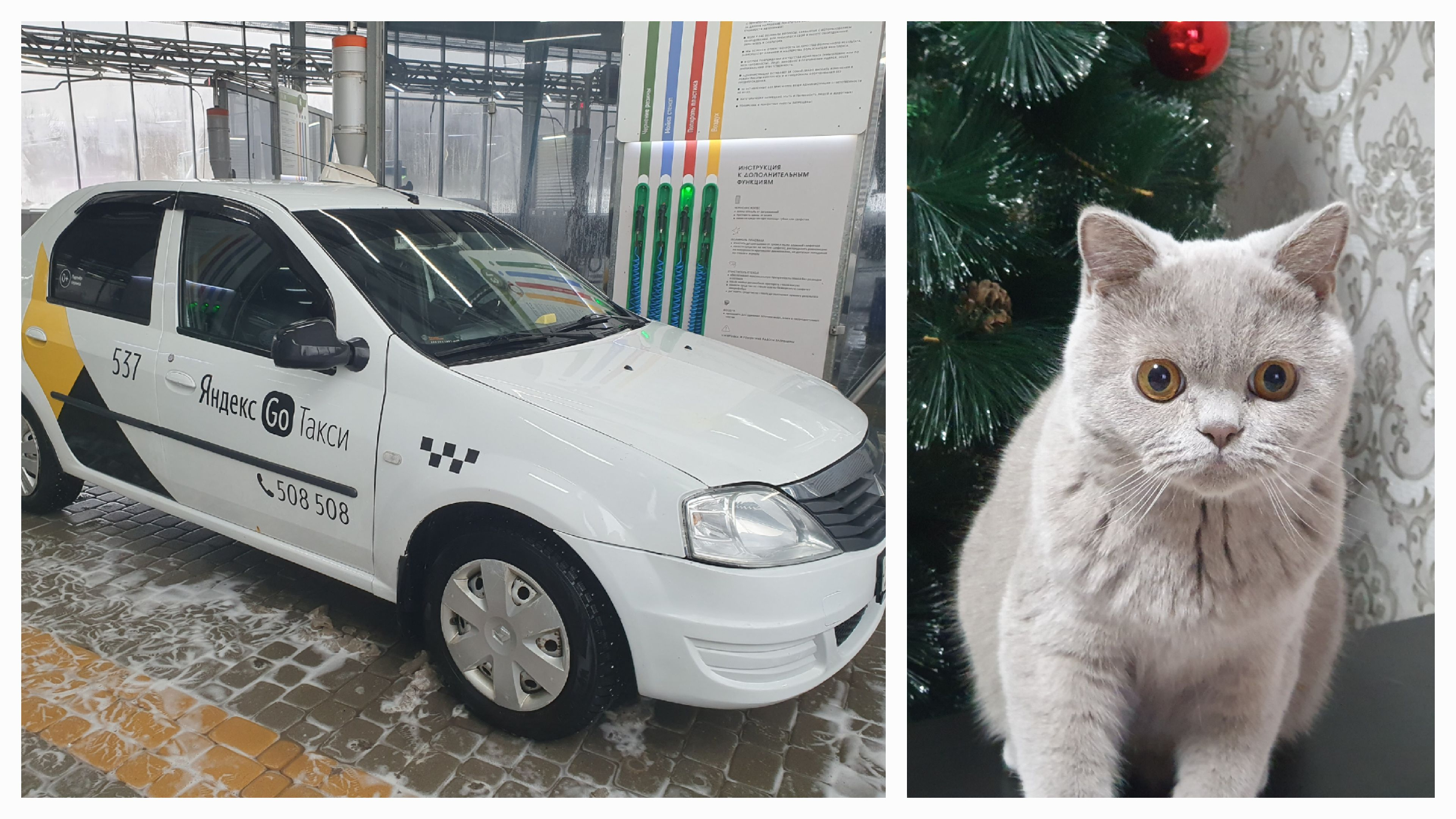 мытье машины. машина автомойка. помыть машину сейчас. мойка автомобиля. моет машину.