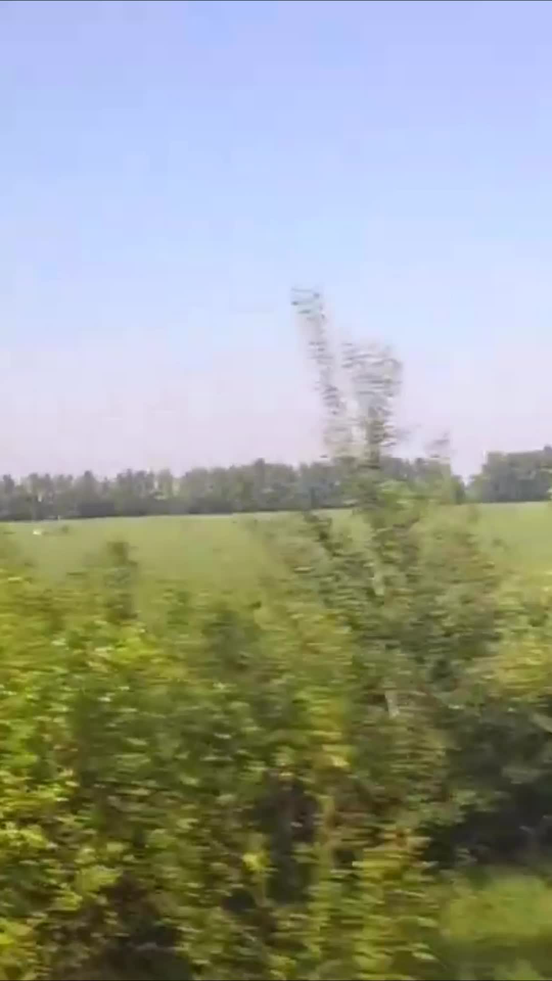 Какой поезд идет до новороссийска. Поезд москва-новороссийск 030 расписание. Расписание поездов москва. Прибытие поезда москва мурманск. Какой поезд идет.