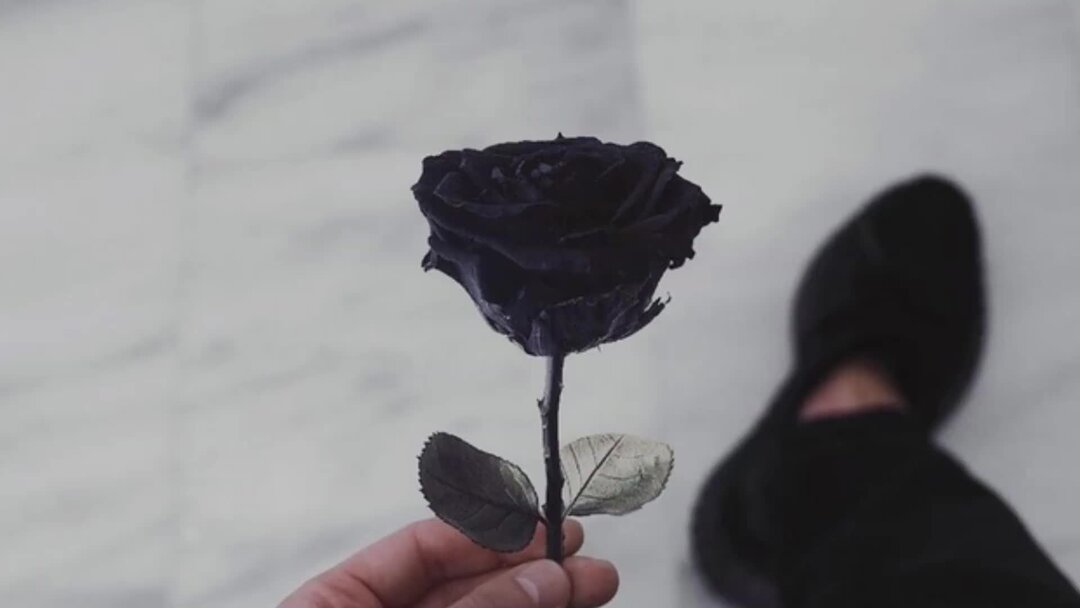 Автор стихотворения мама это слово дорогое. Слово о матери. Мама самый дорогой человек в жизни. Мама это солнце стих. Автор стихотворения мама это слово дорогое.