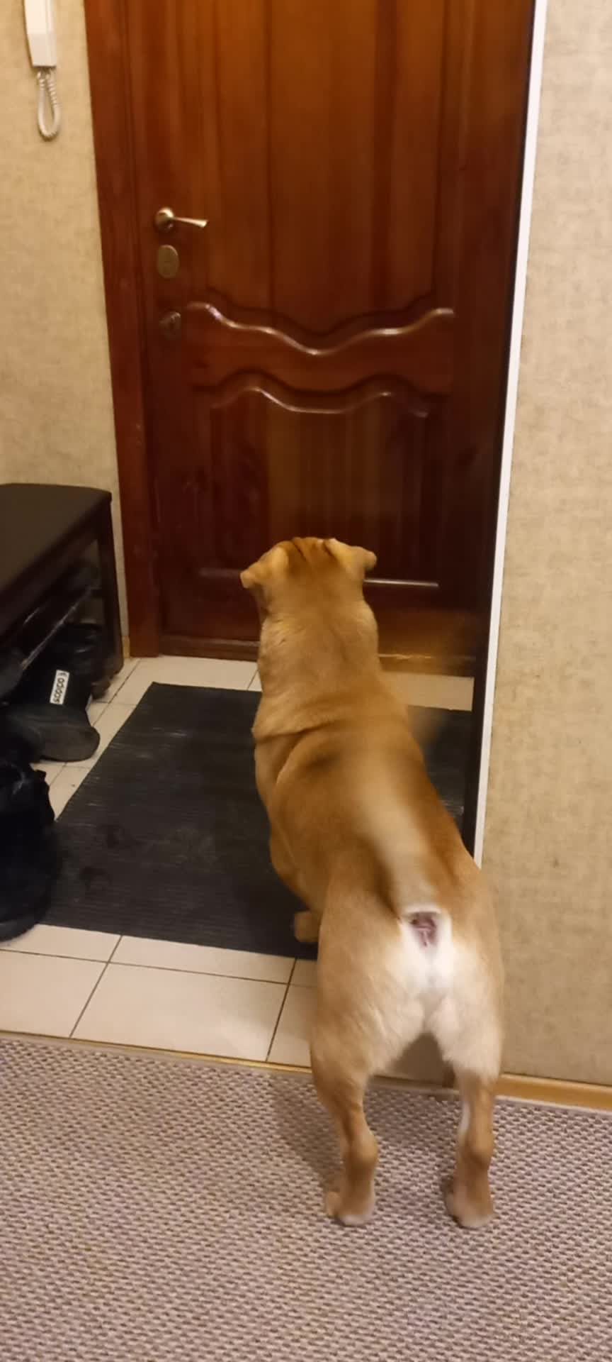 улетные демотиваторы. не дождался с работы. не дождался с работы. открытка не дождетесь. не дождался мем.