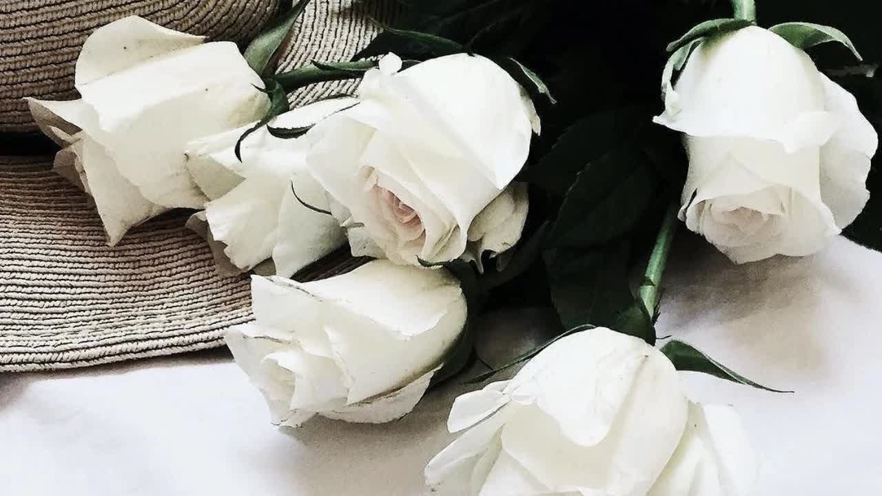 юрий шатунов ласковый май белые розы. юрий шатунов крокус сити холл 2 апреля. юрий шатунов память. белые розы шатунов ремикс 2023. юрий шатунов белые розы.