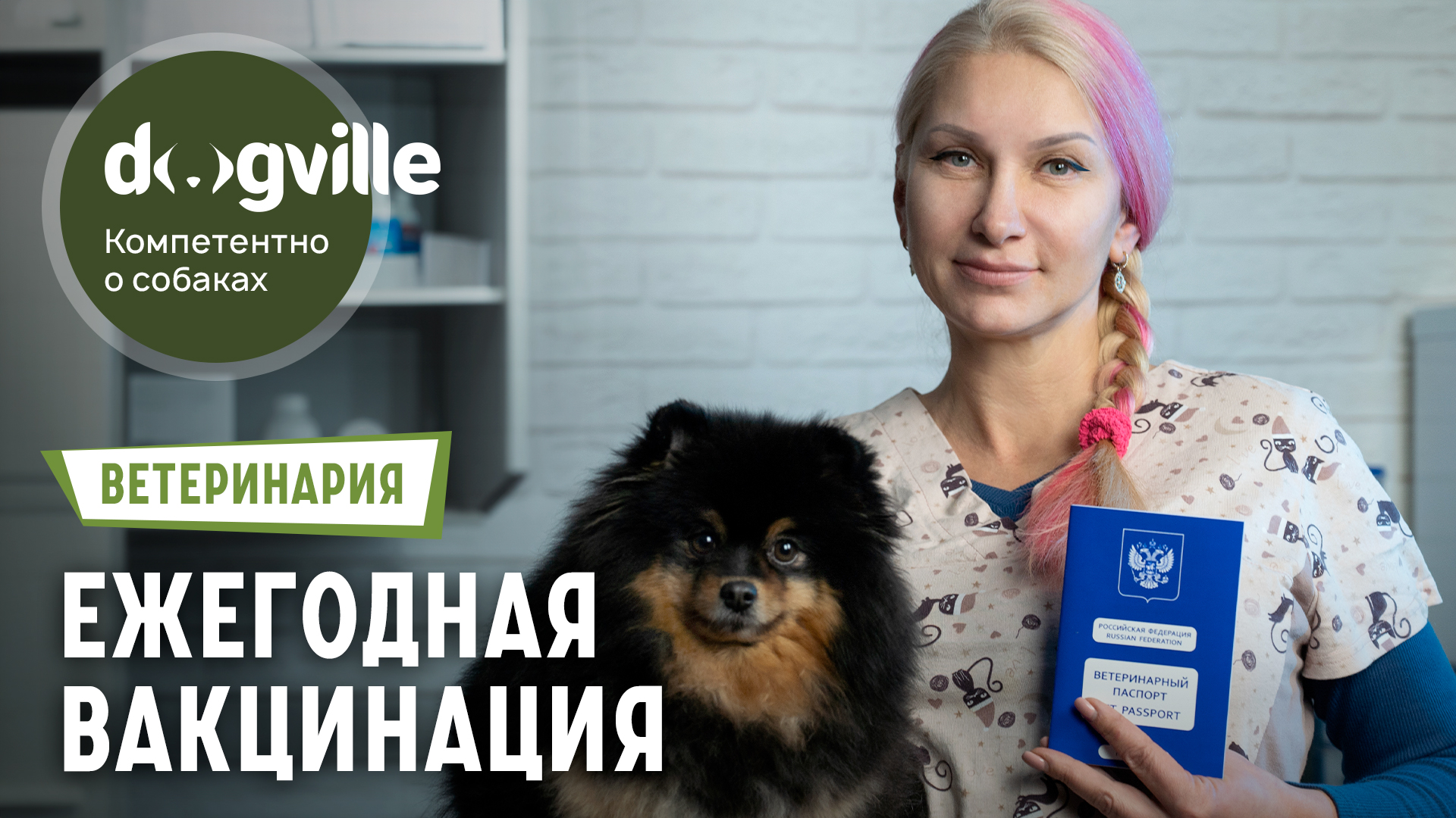Прививку собаке как надо делать. Прививку собаке как надо делать