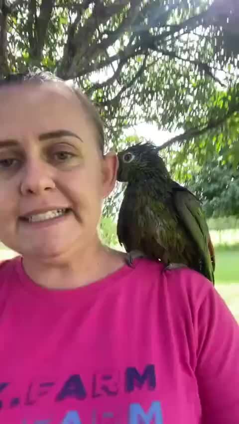 вася решил попробовать. вася купить. вася картинки. дофамин мозг. я тоже приду.