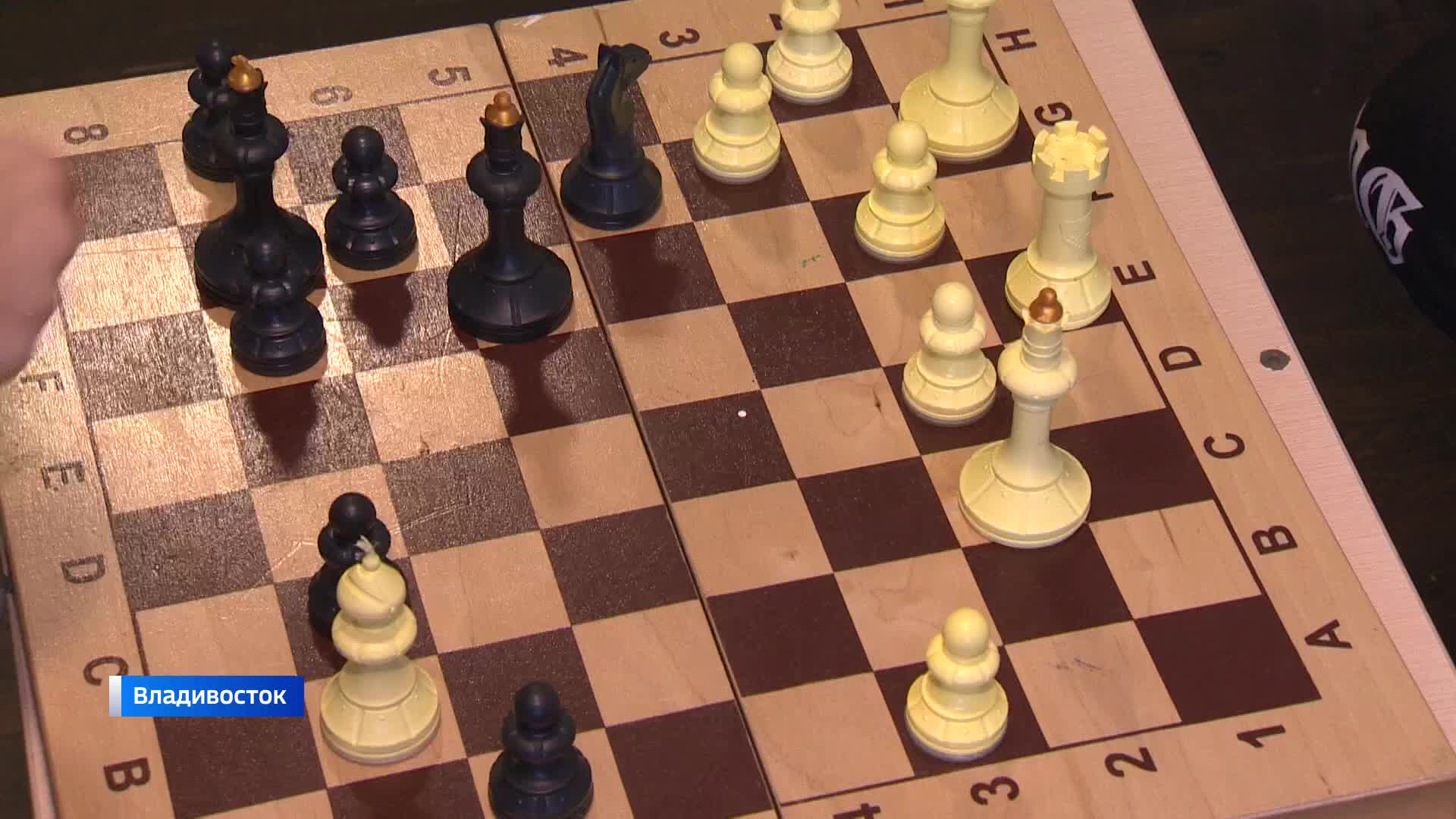 Fritz шахматы. шахматы прямая. шахматы прямая. шахматы прямая. шахматы прямая.