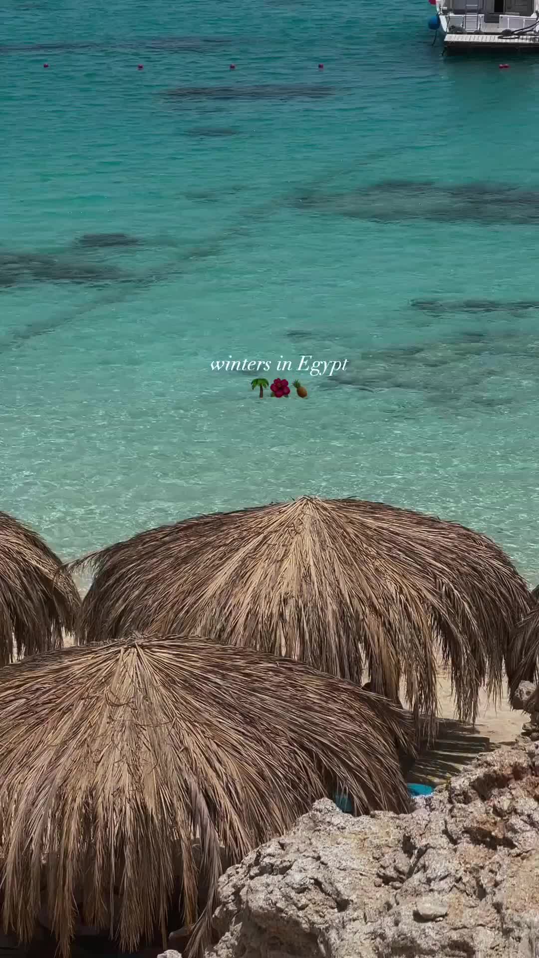 Sea star beau rivage *****, египет, хургада. египет туры из самары горящие все включено.