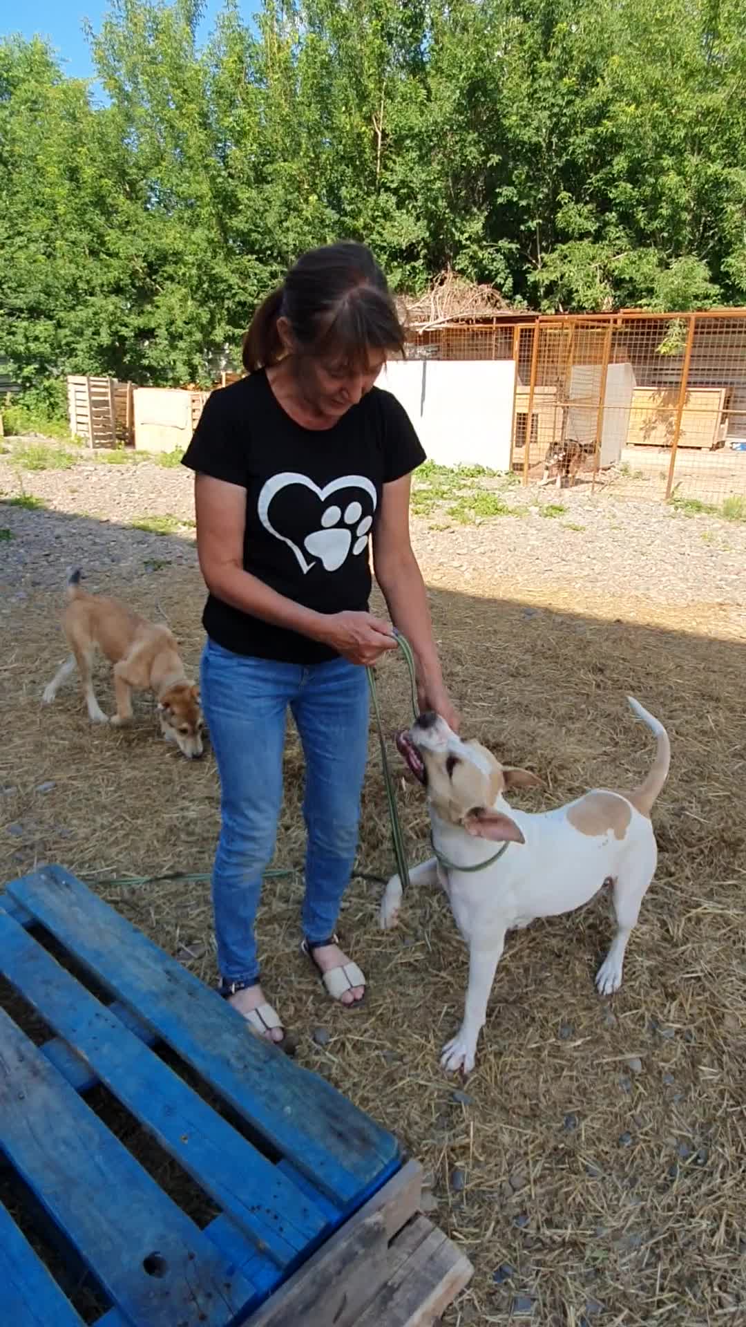 добрые поступки предложения. какие добрые дела можно совершить. добрые поступки предложения. проект добрые дела. добрые поступки детей.