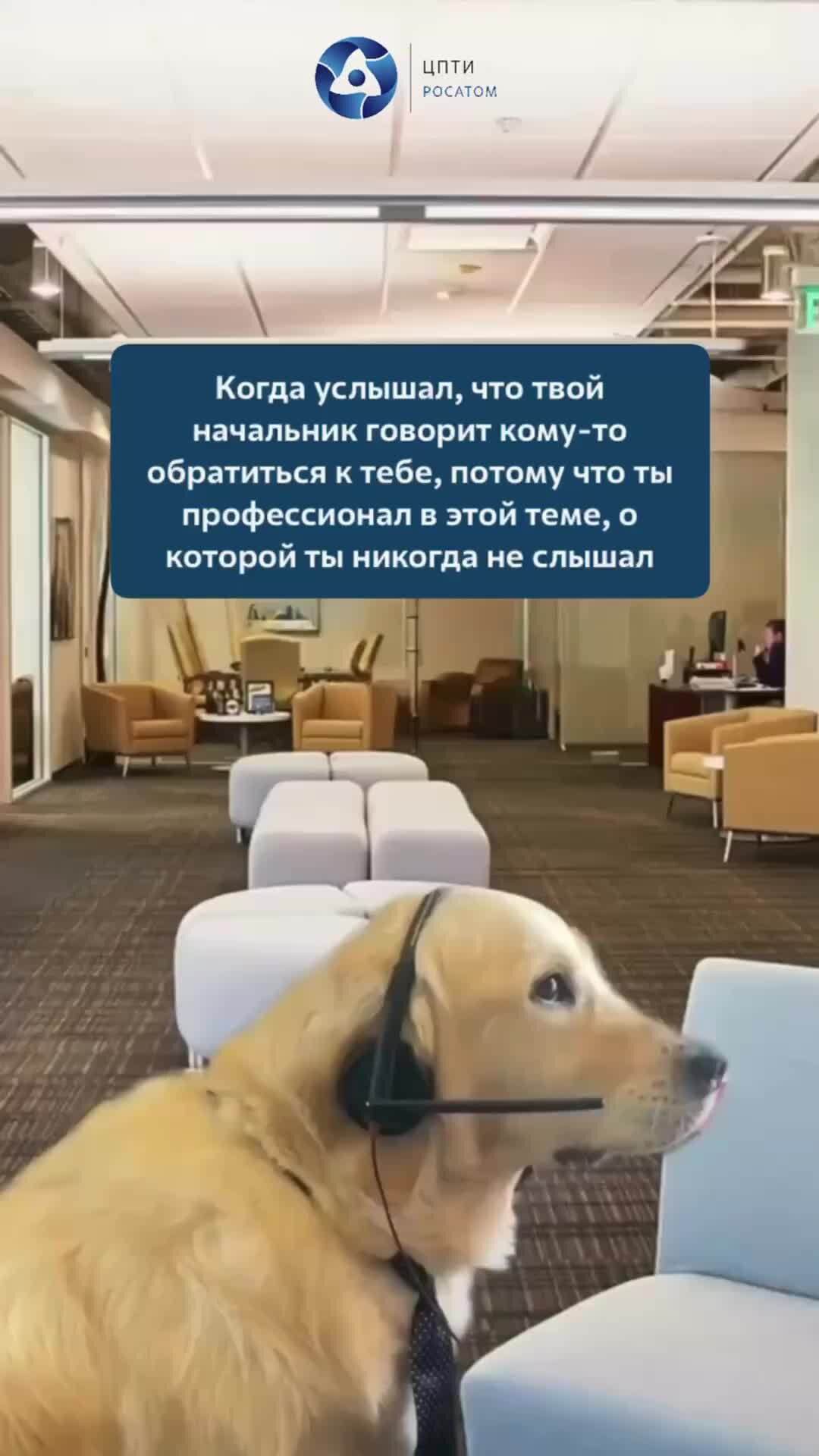 просто так неожиданно пришел закат песня. слушай на закате. просто так неожиданно пришел закат песня. тина кароль ноты для фортепиано. рассвет летом.