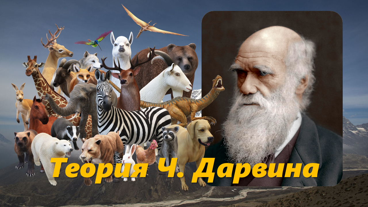 Волгоград 360 сферическая панорама. Исчезновение видов животных. Больше всего на земле видов. Вымирание видов животных статистика. Больше всего на земле видов.