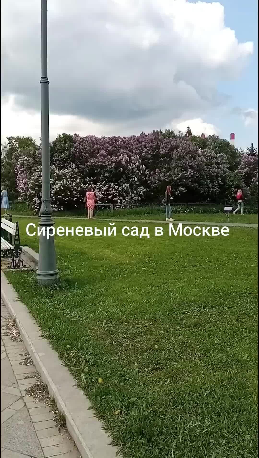 объекты культурного наследия федерального значения. проект планировки территории новосибирск большевистская. документация по планировке территории линейного объекта. объекты регионального значения москва. объекты регионального значения примеры.